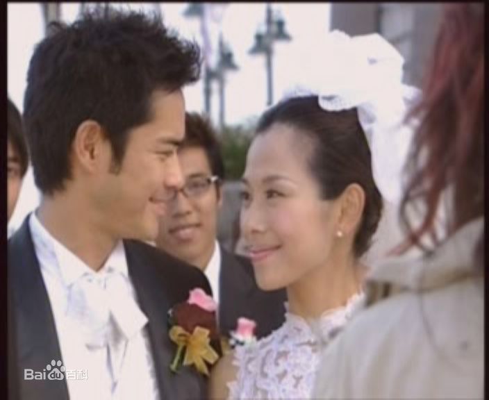 陈松伶(Adia Chan)参演电视剧作品（1989-2008）素颜照壁纸