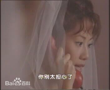 陈松伶(Adia Chan)参演电视剧作品（1989-2008）素颜照壁纸