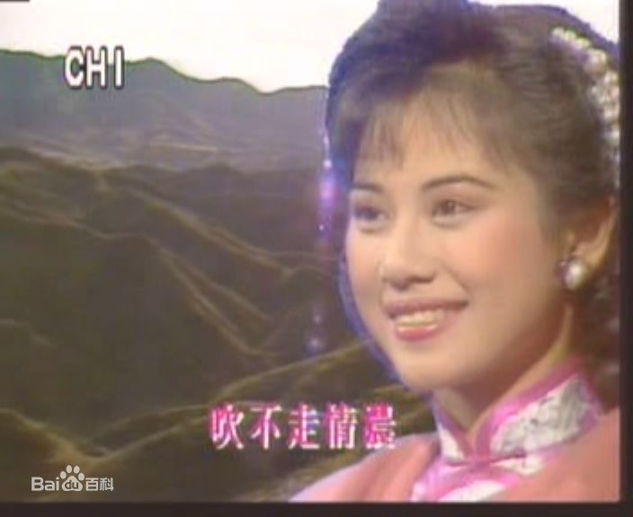 陈松伶(Adia Chan)参演电视剧作品（1989-2008）素颜照壁纸