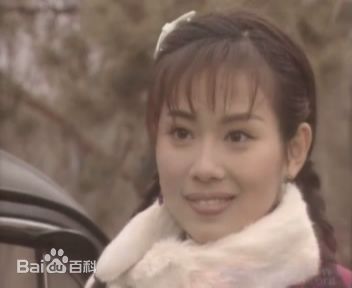 陈松伶(Adia Chan)参演电视剧作品（1989-2008）素颜照壁纸