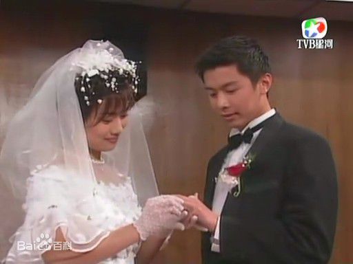 陈松伶(Adia Chan)参演电视剧作品（1989-2008）素颜照壁纸