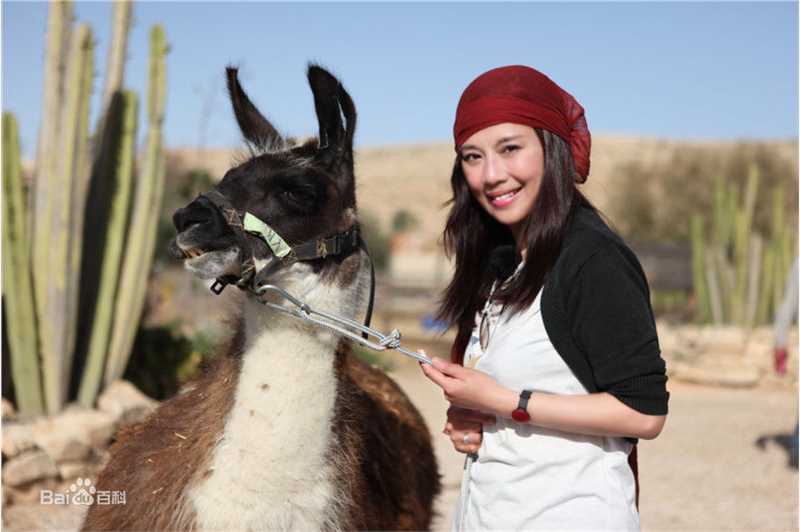 陈松伶(Adia Chan)个人照生活照相册