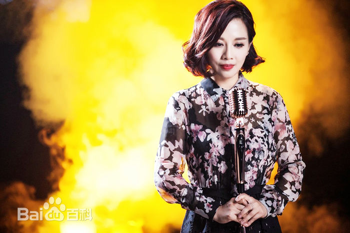 陈松伶(Adia Chan)真人秀前后照片