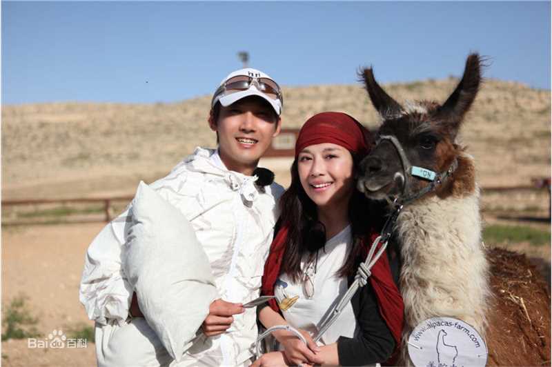 陈松伶(Adia Chan)真人秀前后照片