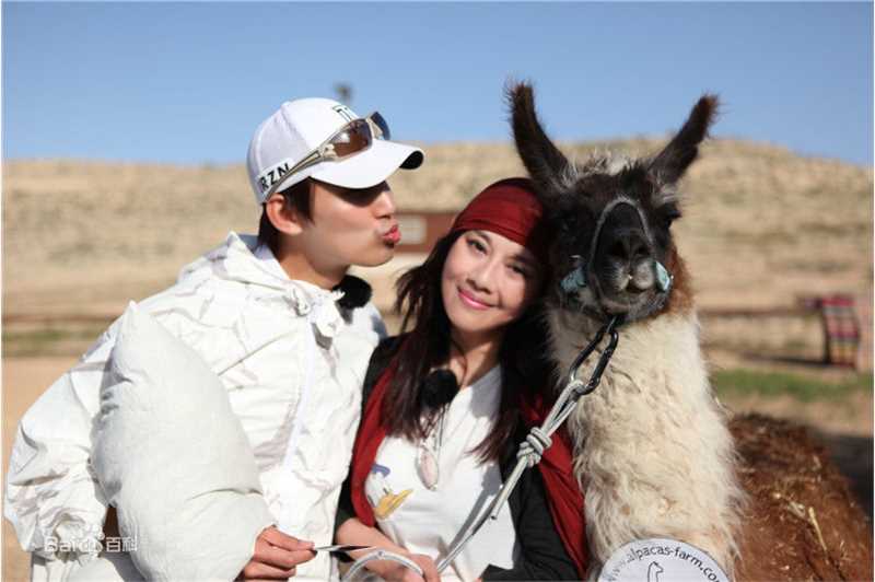 陈松伶(Adia Chan)真人秀前后照片