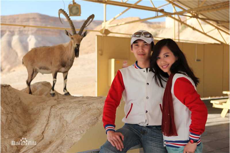 陈松伶(Adia Chan)真人秀前后照片