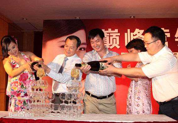 陈松伶(Adia Chan)广告代言图片图集