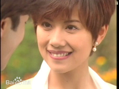 陈松伶(Adia Chan)1996年《天地男儿》精选剧照