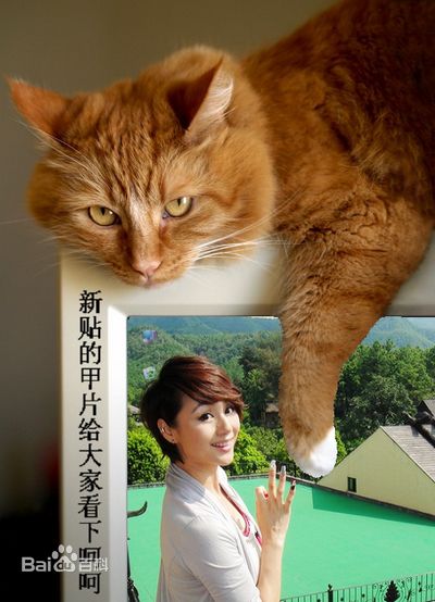 曹颖(Cao Ying)2010年最新造型壁纸壁纸