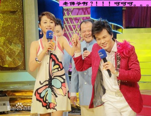 曹颖(Cao Ying)2010.2参加津夜嘉年华壁纸壁纸