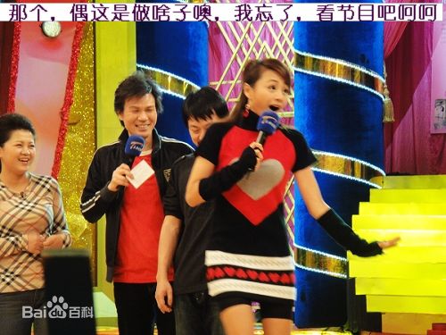 曹颖(Cao Ying)2010.2参加津夜嘉年华壁纸壁纸