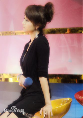 曹颖(Cao Ying)2010.2参加津夜嘉年华壁纸壁纸