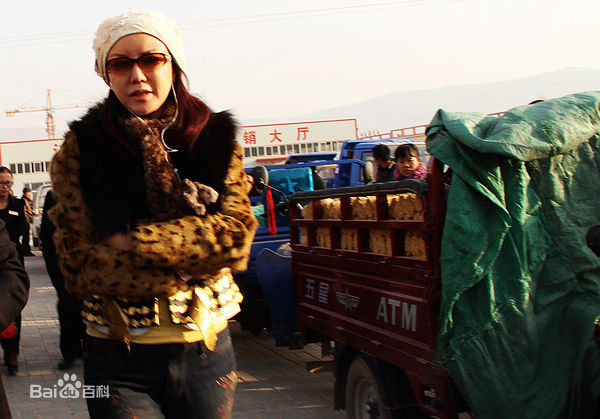 彭丹(Diana Peng)甘肃省政协委员到陇西首阳调研性感图片壁纸