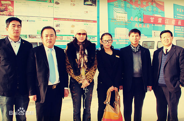 彭丹(Diana Peng)甘肃省政协委员到陇西首阳调研性感图片壁纸