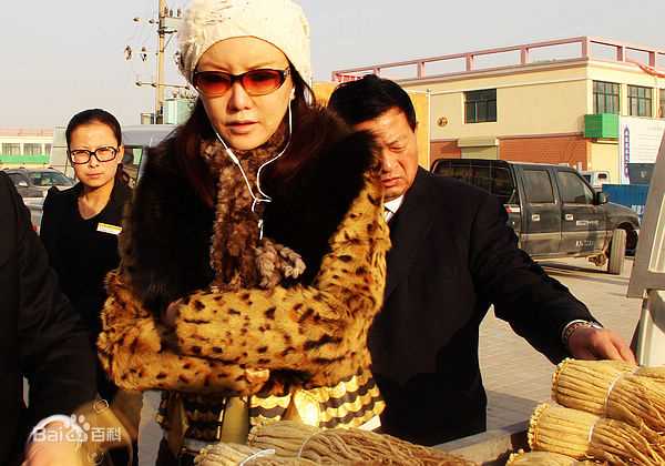 彭丹(Diana Peng)甘肃省政协委员到陇西首阳调研性感图片壁纸