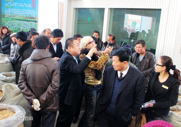 彭丹(Diana Peng)甘肃省政协委员到陇西首阳调研性感图片壁纸