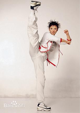 彭丹(Diana Peng)最新照壁纸