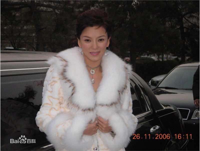 彭丹(Diana Peng)电视最优质剧照