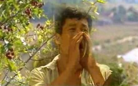 高清傅羽佳图片