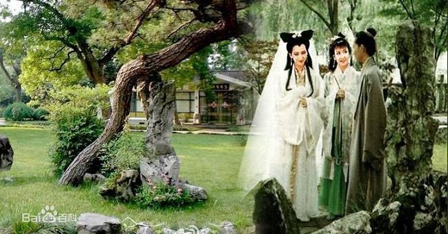 最优质赵雅芝(Angie Chiu)素颜照