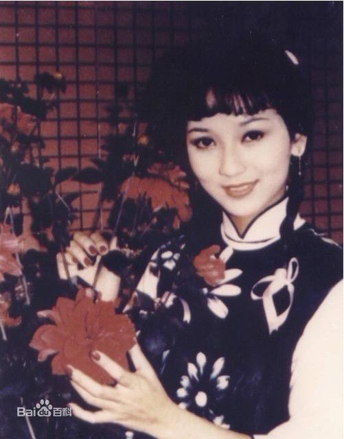 赵雅芝(Angie Chiu)主演作品壁纸壁纸