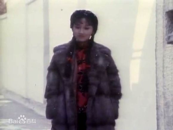 赵雅芝(Angie Chiu)主演作品壁纸壁纸