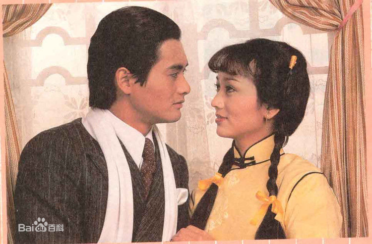 赵雅芝(Angie Chiu)主演作品壁纸壁纸