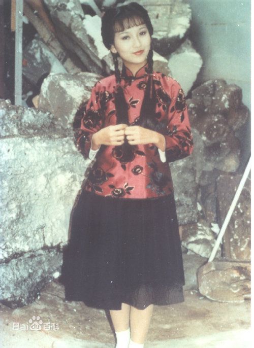 赵雅芝(Angie Chiu)主演作品壁纸壁纸