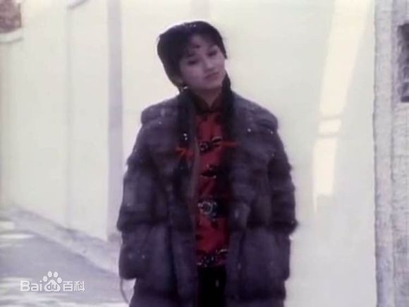 赵雅芝(Angie Chiu)主演作品壁纸壁纸