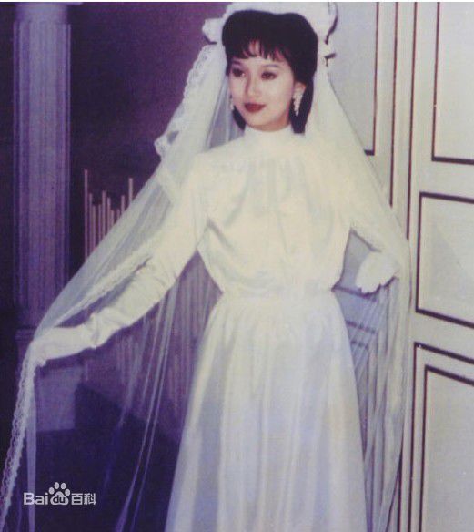 赵雅芝(Angie Chiu)主演作品壁纸壁纸