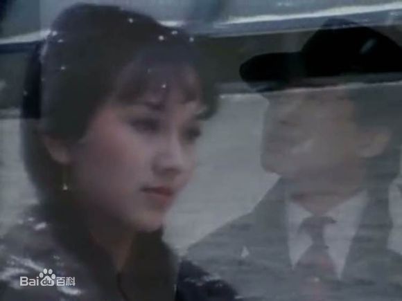 赵雅芝(Angie Chiu)主演作品壁纸壁纸