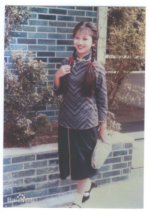 赵雅芝(Angie Chiu)主演作品壁纸壁纸