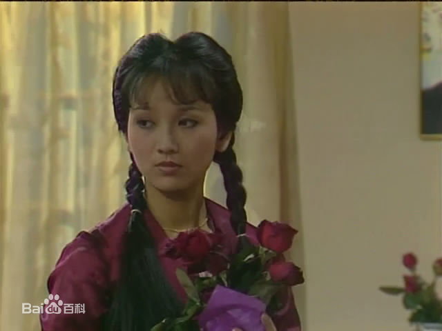 赵雅芝(Angie Chiu)主演作品壁纸壁纸