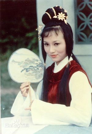 赵雅芝(Angie Chiu)主演作品壁纸壁纸