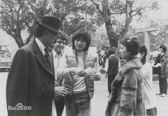 赵雅芝(Angie Chiu)主演作品壁纸壁纸