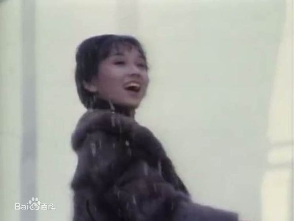 赵雅芝(Angie Chiu)主演作品壁纸壁纸