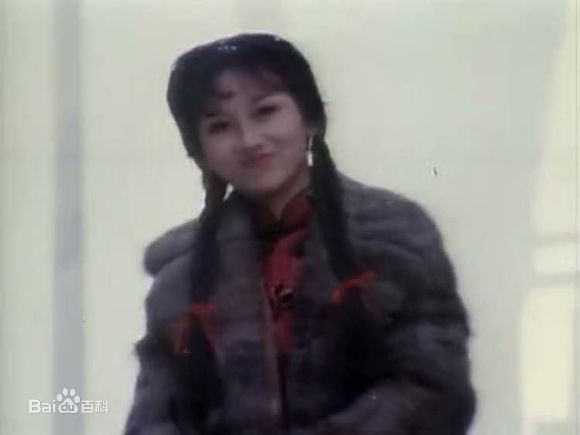 赵雅芝(Angie Chiu)主演作品壁纸壁纸