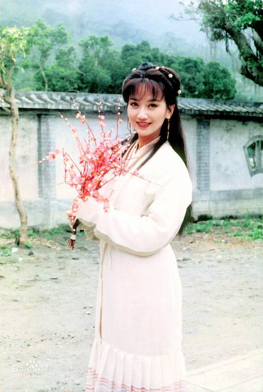 赵雅芝(Angie Chiu)主演作品壁纸壁纸