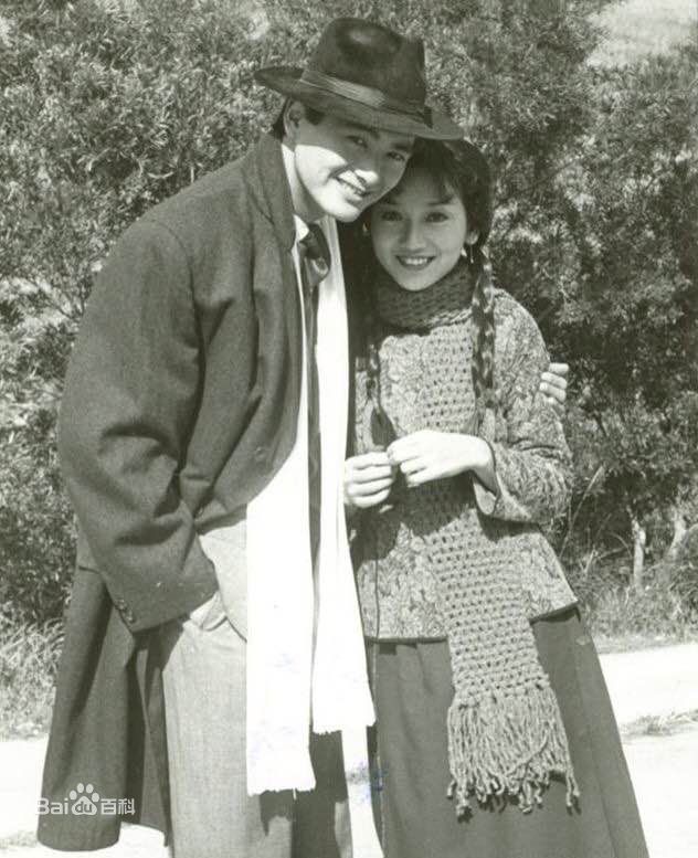 赵雅芝(Angie Chiu)主演作品壁纸壁纸