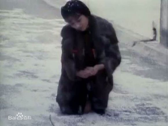 赵雅芝(Angie Chiu)主演作品壁纸壁纸