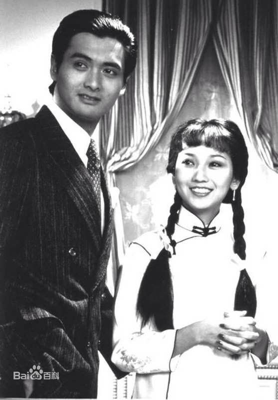 赵雅芝(Angie Chiu)主演作品壁纸壁纸