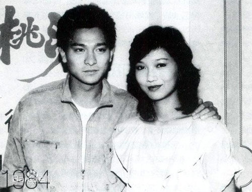 赵雅芝(Angie Chiu)主演作品壁纸壁纸