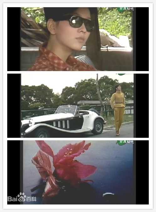 最优质赵雅芝(Angie Chiu)生活照