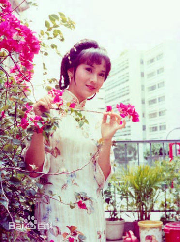 赵雅芝(Angie Chiu)影视最优质剧照