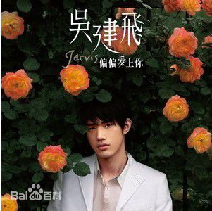 最优质吴建飞(Jarvis)素颜照