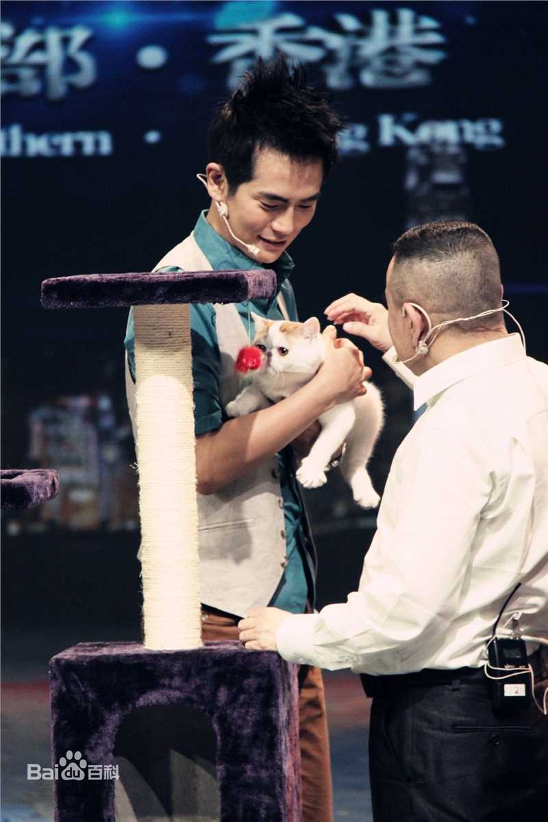 张晓龙的个人图册素颜照相册