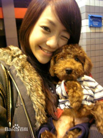 谢欣颖(Nikki Shie)最优质相册