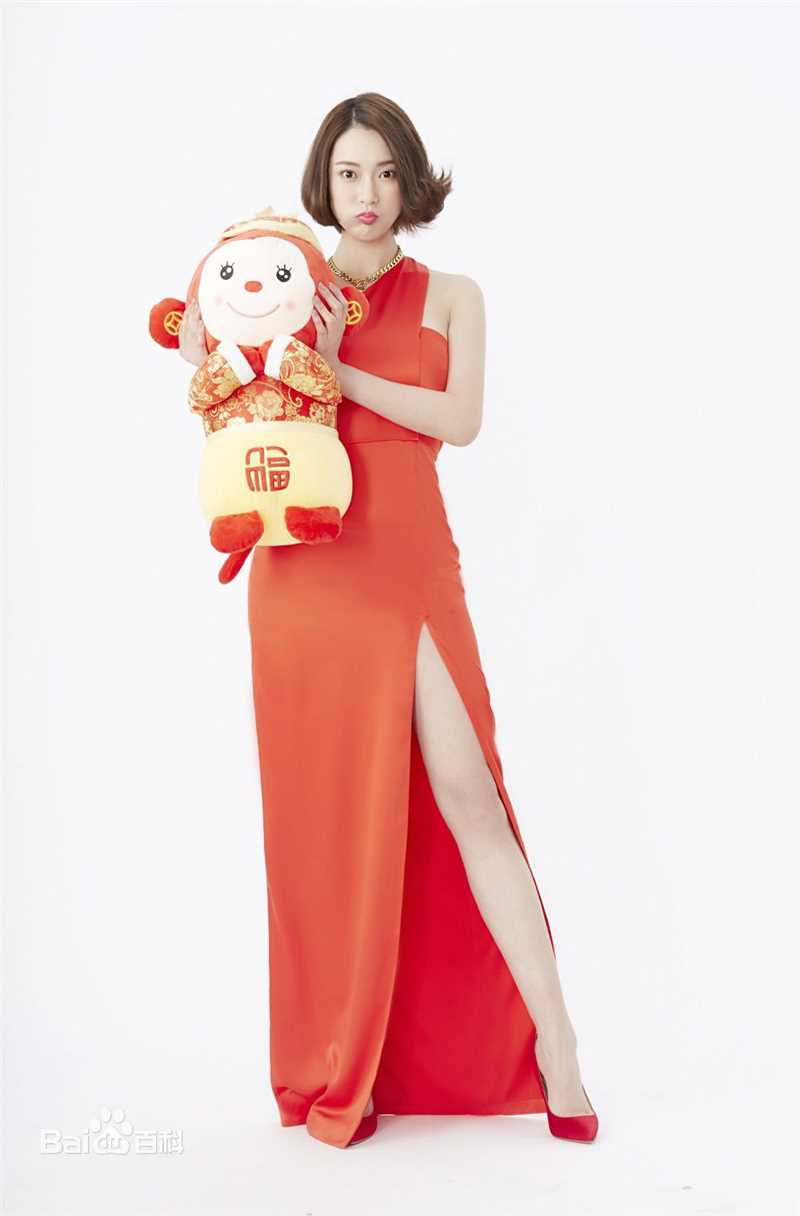 胡然精选猴年新春图册