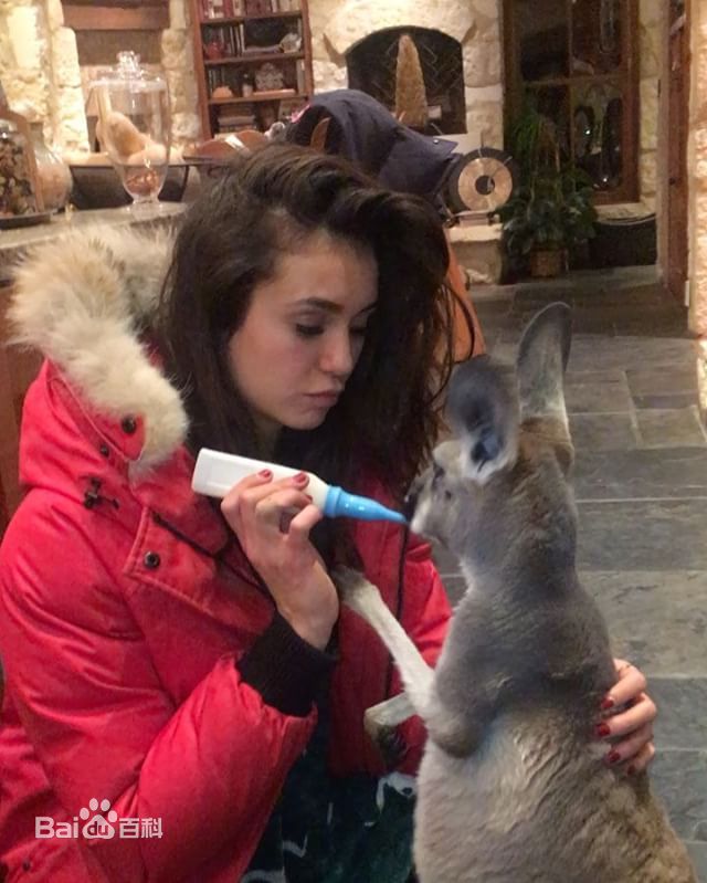 妮娜·杜波夫(Nina Dobrev)-2017壁纸壁纸