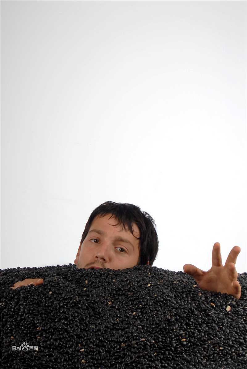 迭戈·鲁纳(Diego Luna)精彩图册